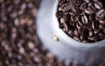 Molinillo de café eléctrico - Disfruta del café molido en segundos